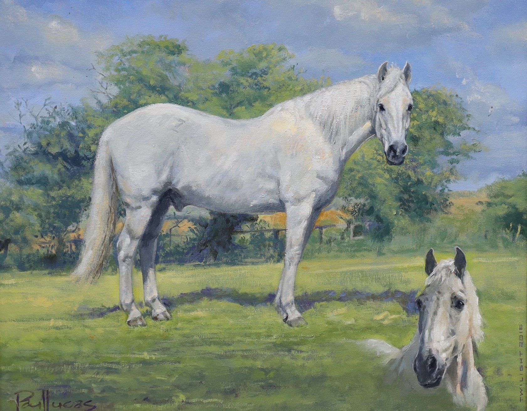 Paul Lucas ASEA, oil on canvas, 'Twilight' portrait of a white stallion, signed and dated 20 16, 39 x 49cm